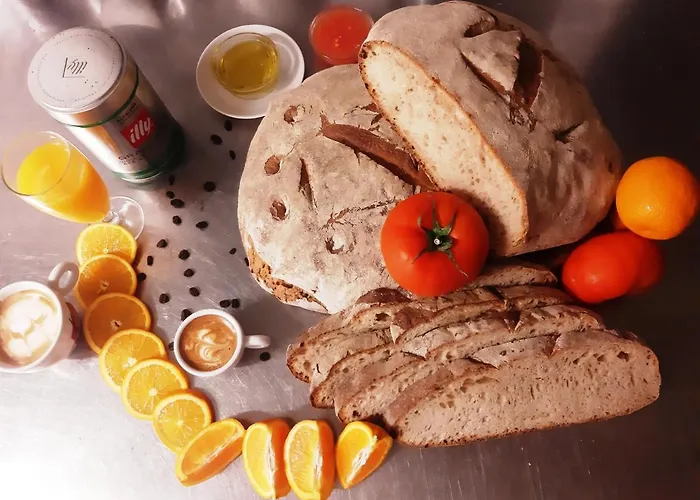 Nirvana 게스트하우스